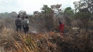 Enam Hektar Lahan Ludes Terbakar