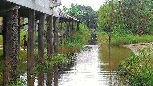 Sungai Batanghari Meluap, Puluhan Rumah di Ulugedong, Sekoja Tergenang Banjir