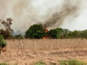 Sudah Sekitar 5 Ha Lahan Masyarakat di Desa Arang-arang Terbakar
