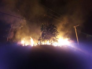 Lahan Semak Belukar di Bukit Baling Terbakar