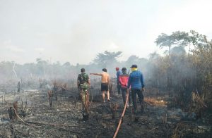 Gara-gara Bakar Sarang Semut, Petugas Berjibaku Padamkan Lahan Terbakar