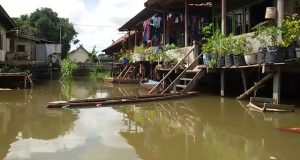 Air Sungai Batanghari Meningkat, Ribuan Rumah Warga di Seberang Kota Jambi Terancam Tenggelam