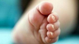 Warga Pal Lima Kota Jambi Temukan Mayat Bayi Tidak Utuh