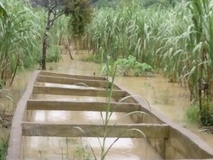Gegara Drainase Rusak, Puluhan Rumah di Perumahan Anugrah Laskar Brata Tergenang Banjir