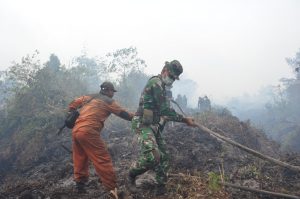 Diduga Lahannya Terbakar, Polda Jambi Panggil 4 Perusahaan Perkebunan