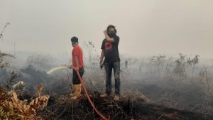 80 Persen Lahan Gambut di Jambi Rusak Karena Terbakar