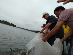 Walikota Fasha Bersama Umat Budha Jambi Lepas Ribuan Ekor Ikan di Danau Sipin