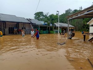 Ratusan Rumah di Kota Jambi Terendam Banjir