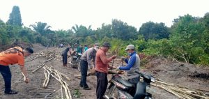 Warga dan TNI Kumpulkan Pohon Pelangas