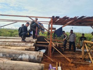 Patroli Tim Gabungan, Petugas Temukan Aktifitas Illegal Logging
