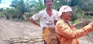 Warga dan TNI Dapati Sarang Lebah