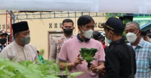 Jawab Aspirasi Anak Muda, Ketua DPRD Edi Ikut Panen Sayuran Hidroponik