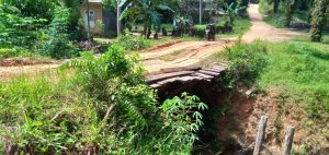 Warga Dusun Karang Rejo, Was-was Dengan Jembatan Kayu ke Desanya