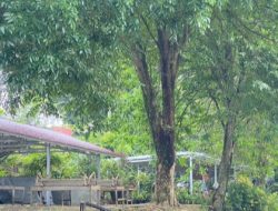 Bangunan Liar Tak Berizin Diatas RTH Kota Bangko, Beranikah Pol-Pp Bertindak