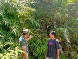 TNI Peduli Bencana, Kopda Ade Irwandi Pengecekan Daerah Rawan Longsor di Desa Durian Rambun