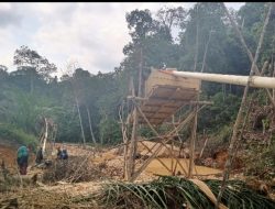 Aktivitas PETI di Kawasan SMA N 7 Merangin, Di Duga Garap Tanah Pemkab Sei-Misang Bagian Belakang